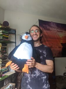 david + penguin